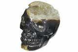Polished Agate Skull with Quartz Crystal Pocket #148109-1